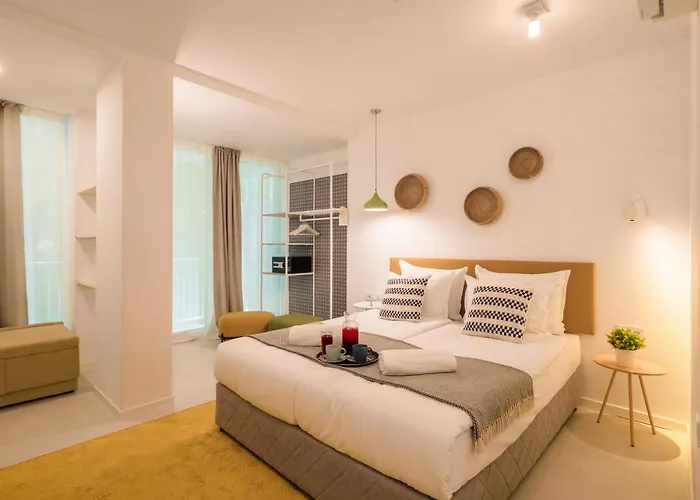 Ibis Styles Roomer 酒店